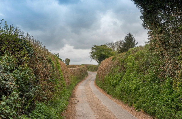 13. Hedgerows